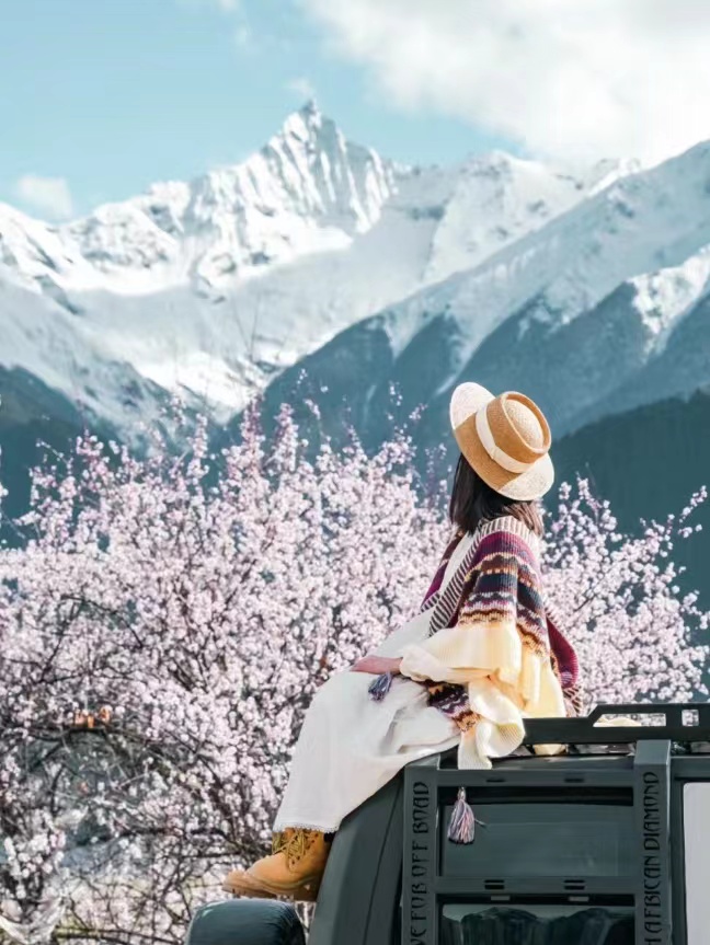 2025 Tibet Tour || Peach Blossom Viewing in Nyingchi Now Open for Booking!!