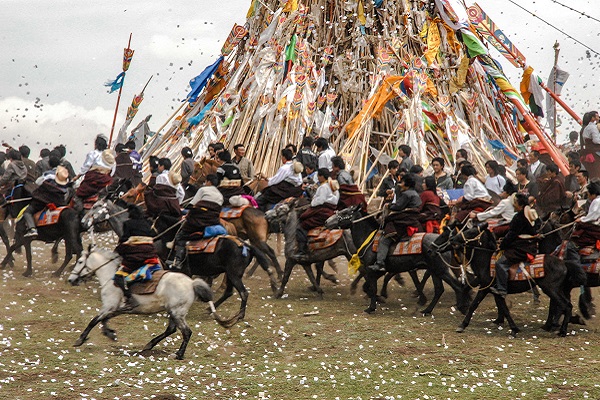 Horses of Tibet