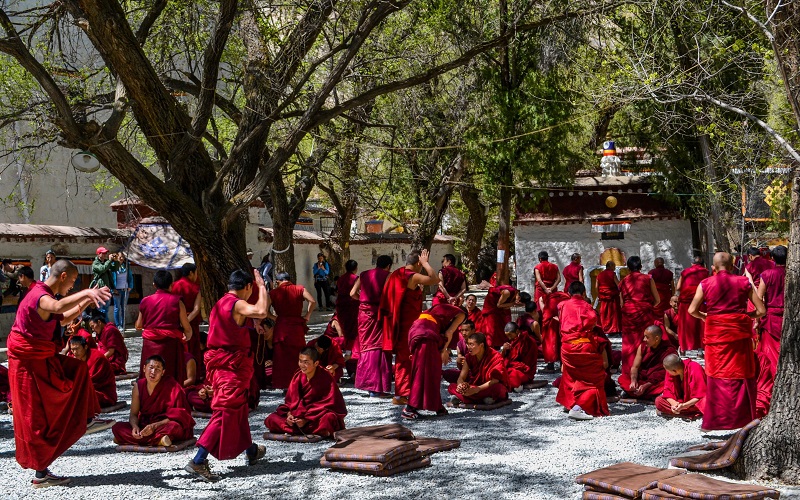 monastic debates in Sera Monastery