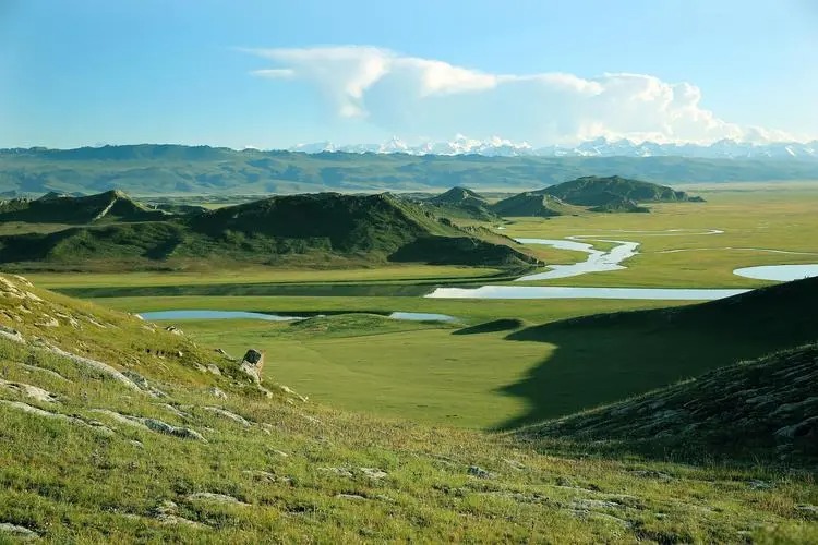 Nalati Grassland vs Bayinbuluke Grassland: How to Choose?