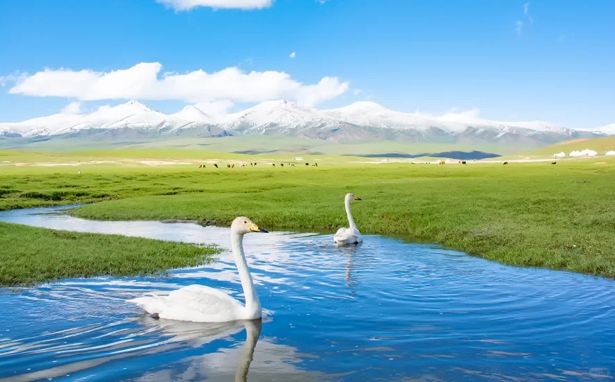 Planning a Trip to Xinjiang? Start with These 10 Must-Visit Spots