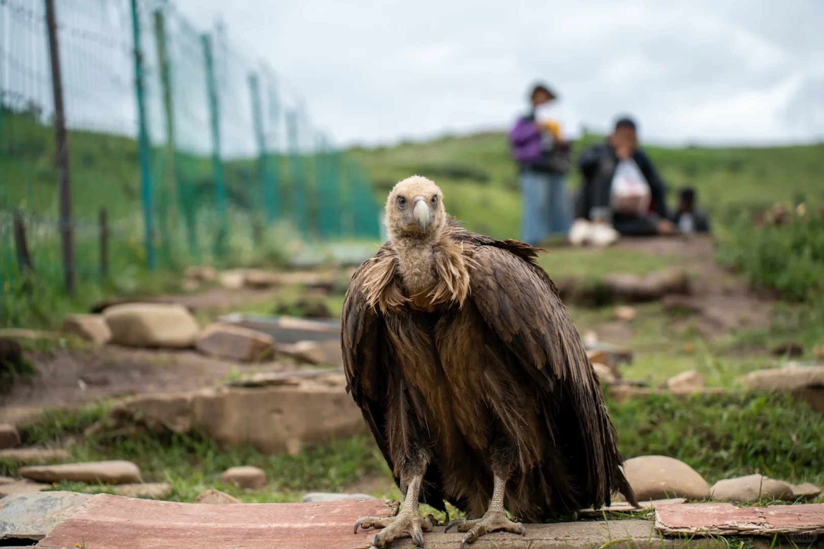 What Is Sky Burial? Inside Tibet’s Most Mysterious Funeral Tradition