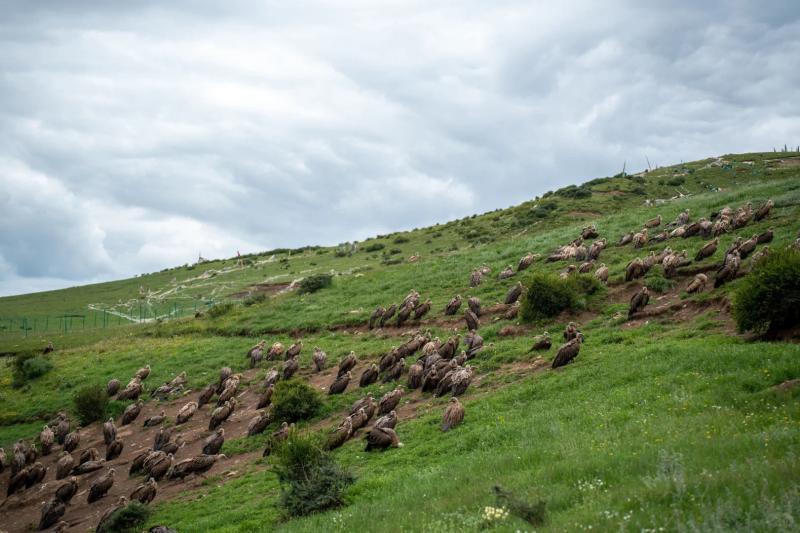 What Is Sky Burial? Inside Tibet’s Most Mysterious Funeral Tradition