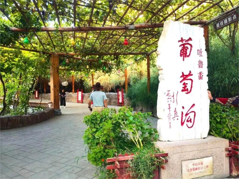 Best Places to Visit in Turpan ：Jiaohe Ancient City,Grape Valleys & Desert Wonders