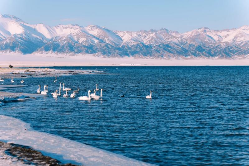 Sayram Lake in All Four Seasons: Exploring the Pearl of the Plateau