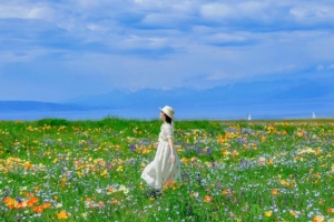 Sayram Lake in All Four Seasons: Exploring the Pearl of the Plateau