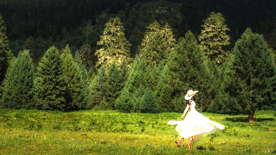 Lulang Forest Sea – The “Oriental Switzerland” of Tibet