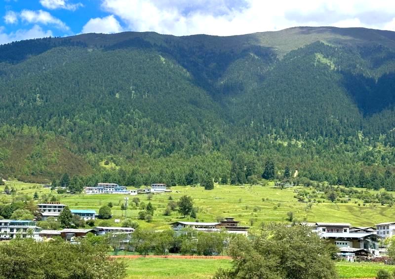 Lulang Forest Sea – The “Oriental Switzerland” of Tibet