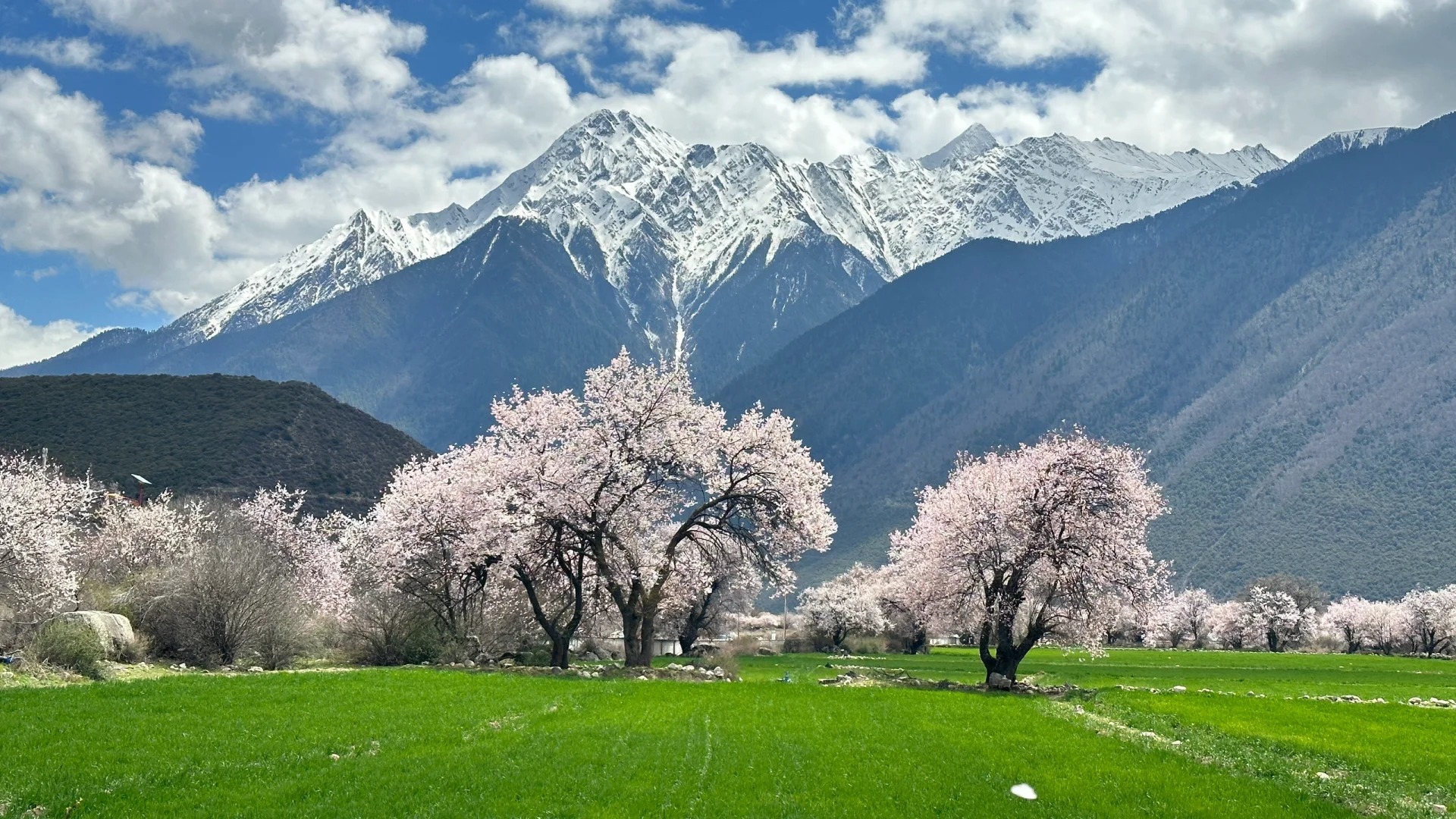 🌸 Spring in Tibet — Peach Blossoms & Blue Ice Cave Adventure!