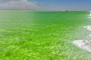 Explore the Mysterious Northwest