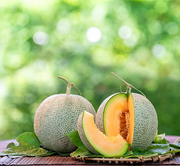 Fresh Melon on blurred greenery background, Orange Melon or Cantaloupe fruit in Bamboo mat on wooden table in garden.