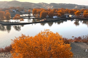 Korla Travel Guide: Why This Oasis City Is the Perfect Gateway to Southern Xinjiang
